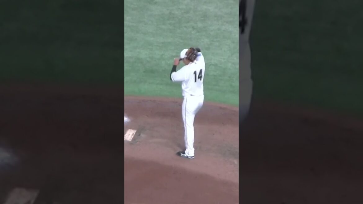 【タイガース】岩貞祐太の投球フォーム＜読売ジャイアンツ対 阪神タイガース 2023年8月8日＞