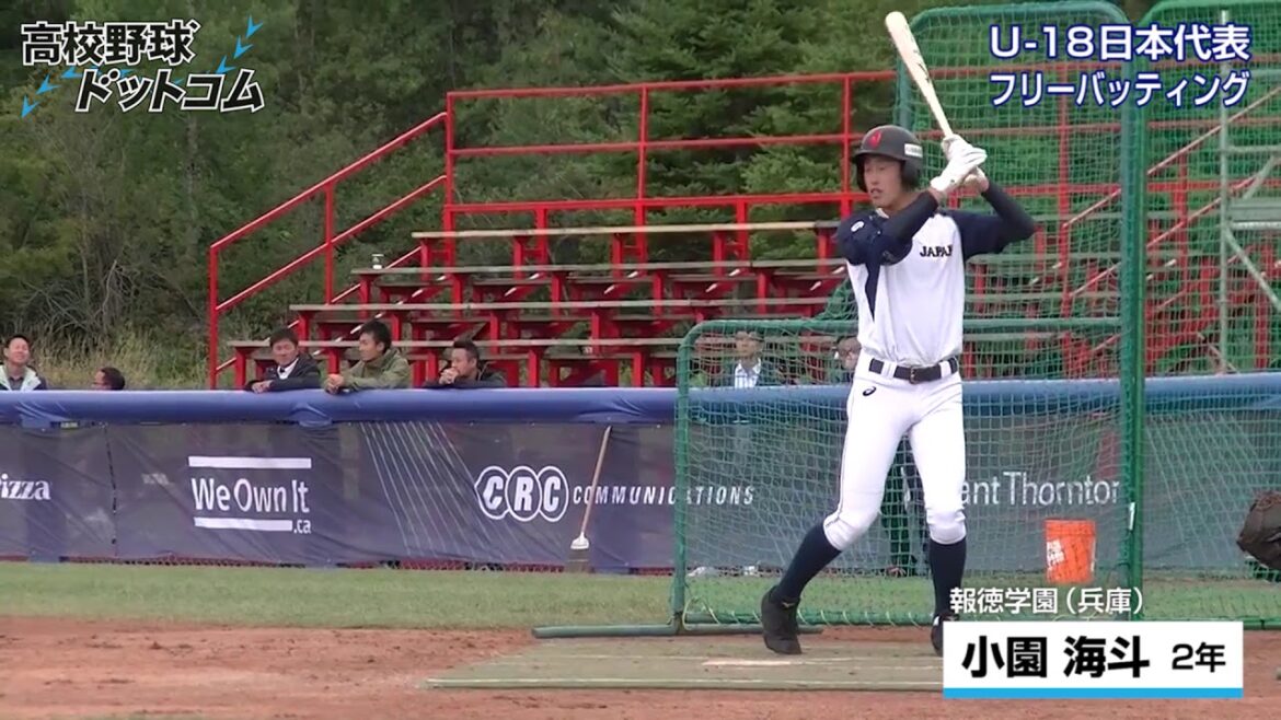 小園海斗（報徳学園）フリーバッティング （２）2017 侍ジャパンU-18代表練習