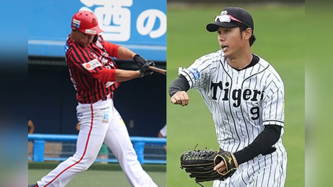 「戦力外通告」出演の薮田和樹、中山翔太が入団するオイシックス新潟の注目選手を徹底紹介！【新入団・在籍選手一覧】