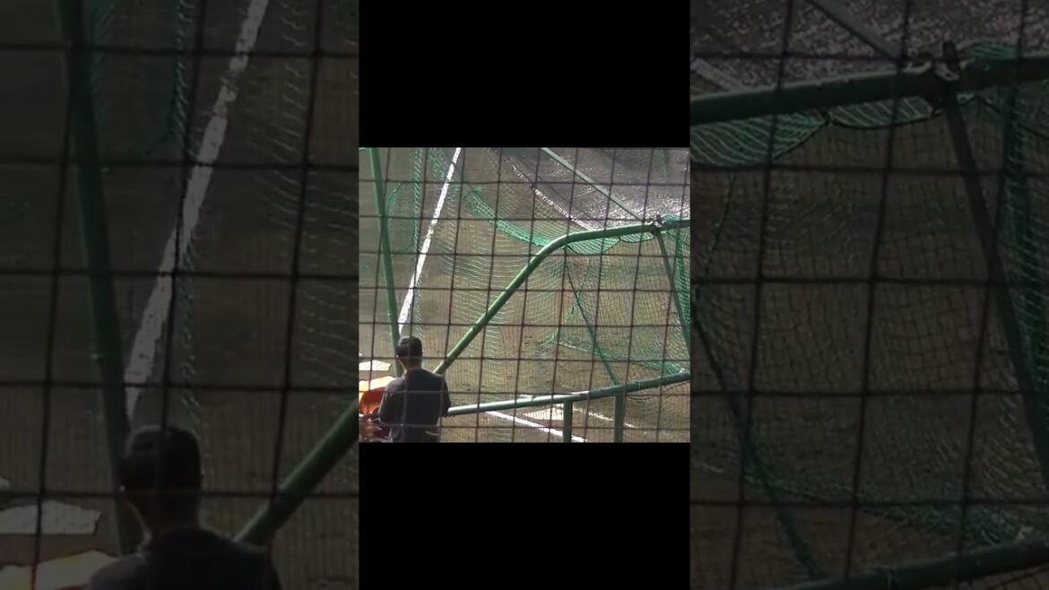 松原聖弥フリーバッティング 2023年10月22日