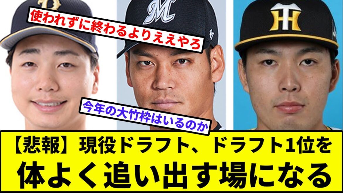 【大竹枠いる？】現役ドラフト、ドラフト1位を体よく追い出す場になる【なんJ反応】【プロ野球反応集】【2chスレ】【1分動画】【5chスレ】【馬場 皐輔】【漆原大晟】【佐々木千隼】