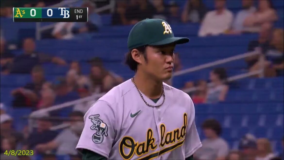 Shintaro Fujinami Complete 2023 Highlights / 藤浪晋太郎 2023ハイライト