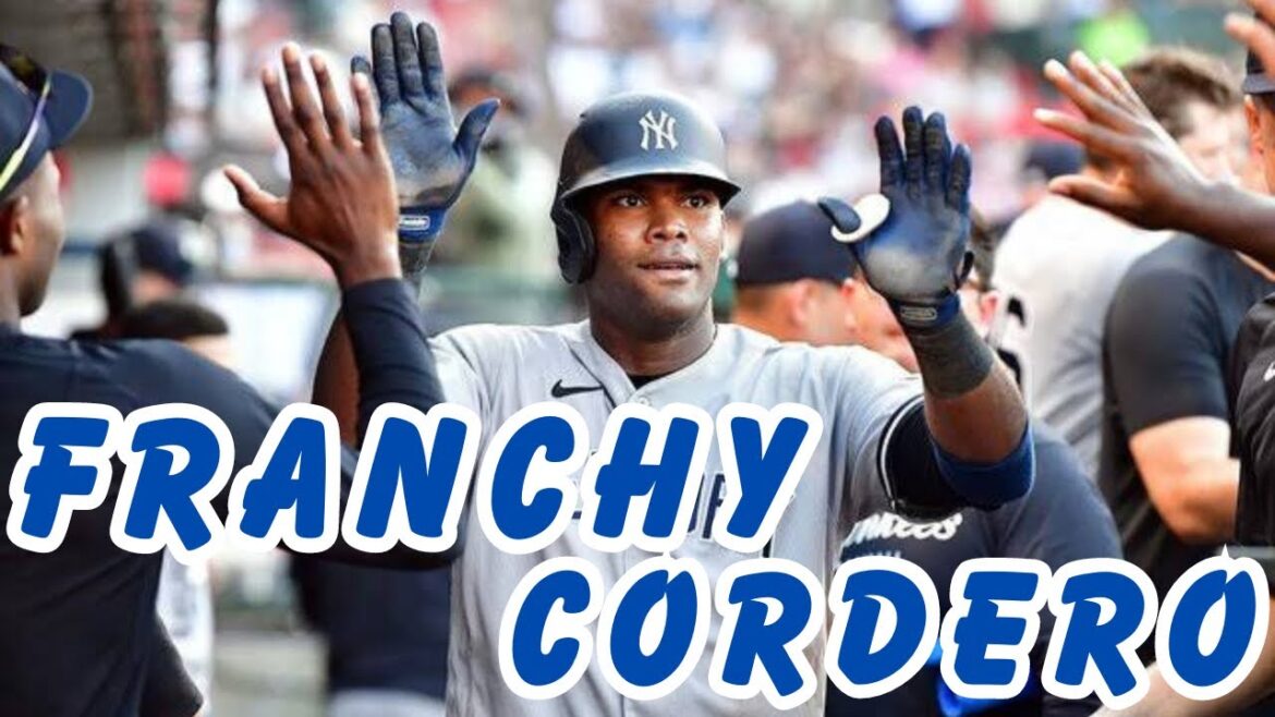 【西武が獲得調査】フランキー•コルデロ外野手 打撃集