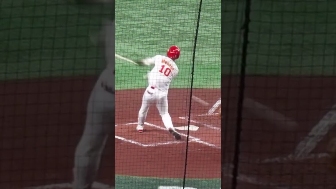 中国代表となった真砂 勇介の打撃フォーム 〜WBC2023/3/13中国 対 韓国