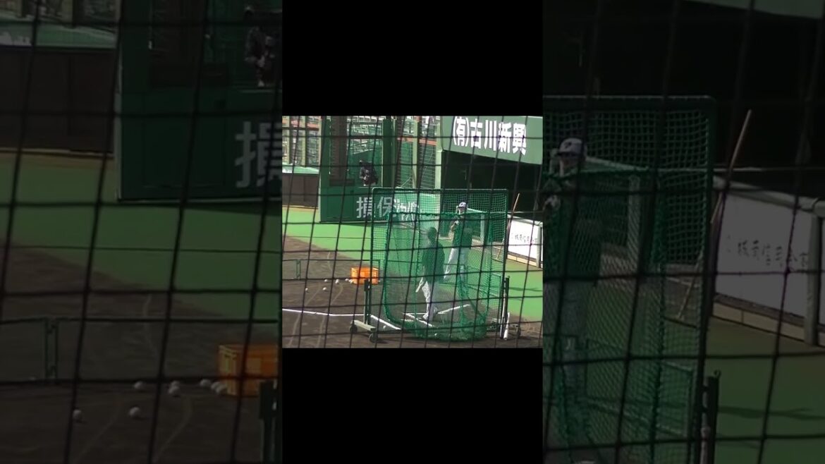 ジャイアンツ秋季練習 バント練習をする重信慎之介  2023年10月22日