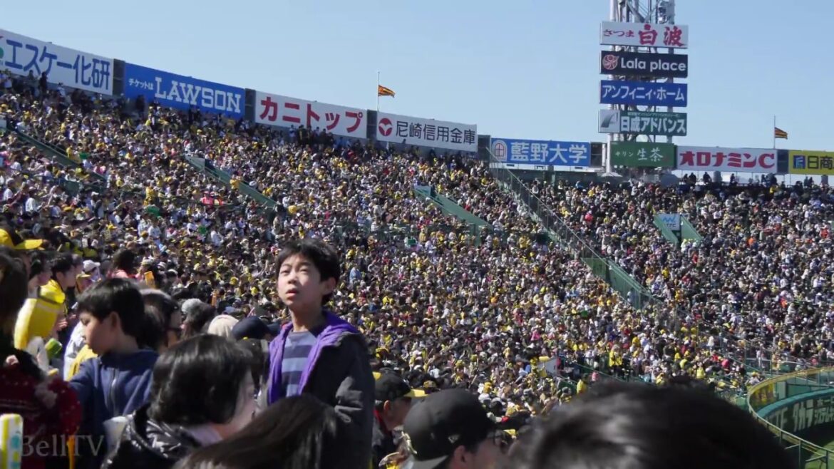 阪神タイガース ウィリン・ロサリオ2018新応援歌 阪神甲子園球場