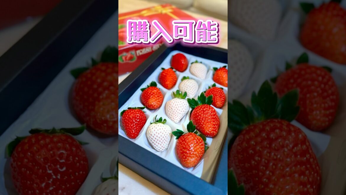 三ツ間農園Openまであと25日！