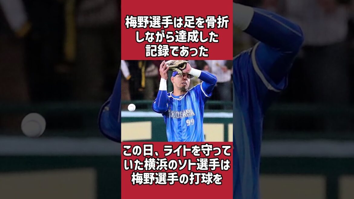 梅野隆太郎に関する雑学#野球#梅野隆太郎#野球雑学 梅野隆太郎に関する雑学#野球#梅野隆太郎#野球雑学