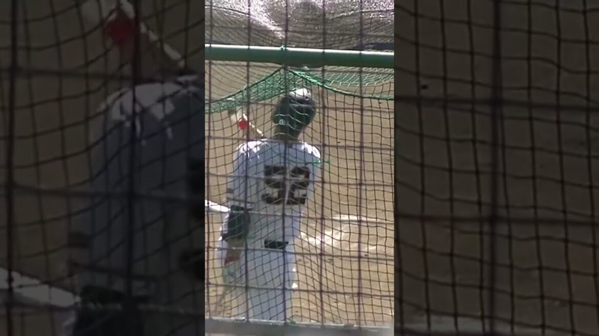 ジャイアンツ秋季練習 北村拓己のフリーバッティング  2023年10月22日