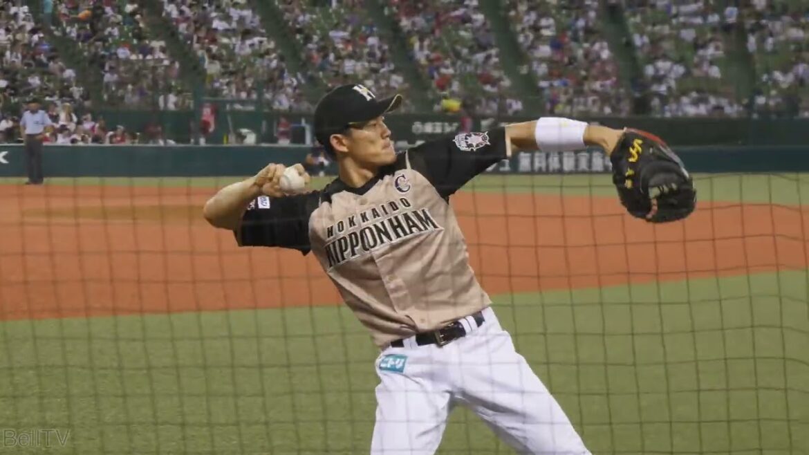 北海道日本ハムファイターズ 大野奨太選手