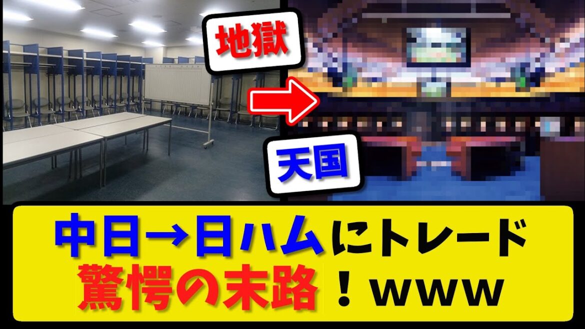 【驚愕の結末】中日→日ハムにトレード！球団施設を見学した結果！【2ch・5ch】野球反応まとめ【反応集】【なんJ】