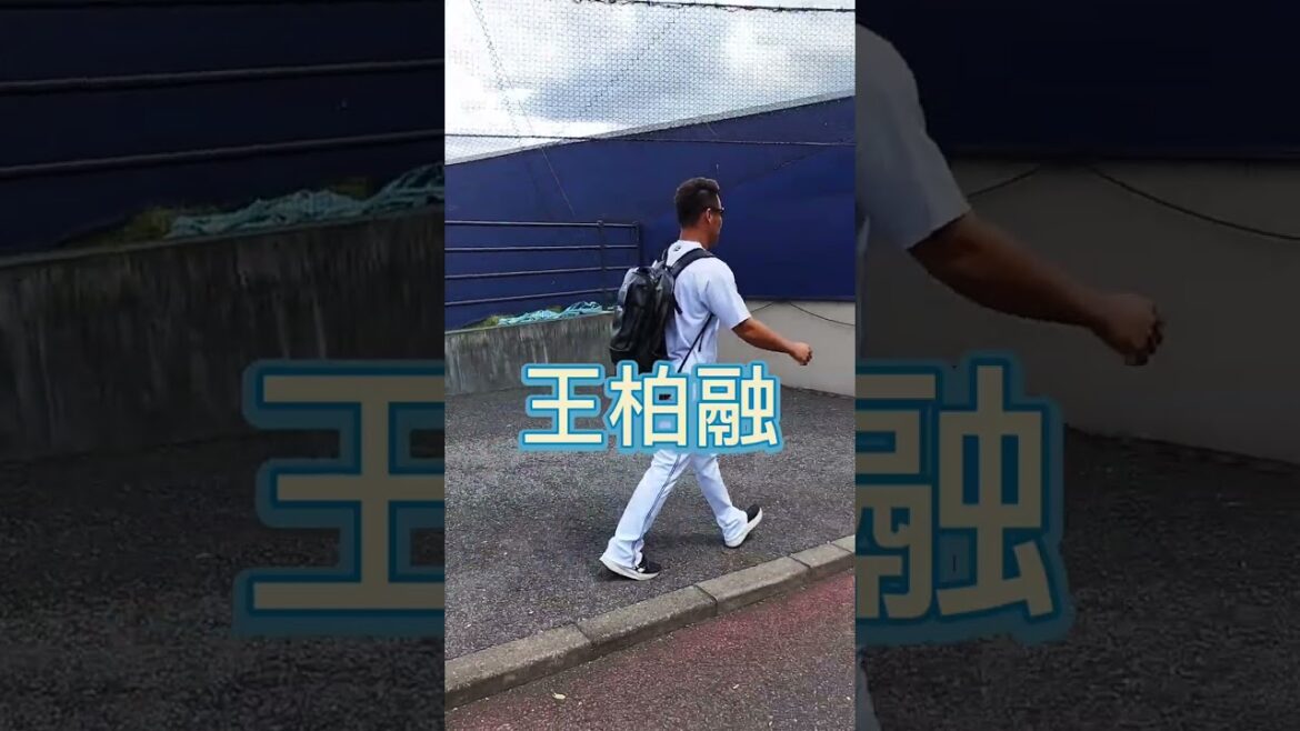 【FIGHTERS】 #王柏融 、ボーロンと読んたら振り向いてくれた😄 #shorts #台湾 #北海道日本ハムファイターズ