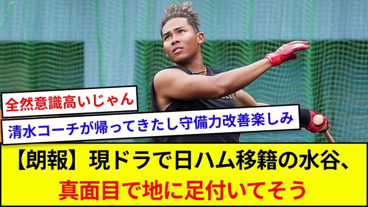【朗報】現ドラで日ハム移籍の水谷、真面目で地に足付いてそう【5ch反応】 【朗報】現ドラで日ハム移籍の水谷、真面目で地に足付いてそう【5ch反応】