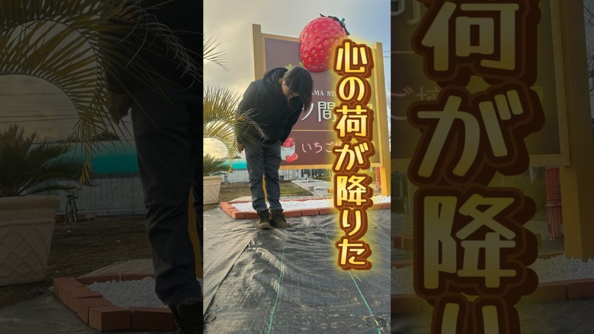 三ツ間農園Openまであと26日