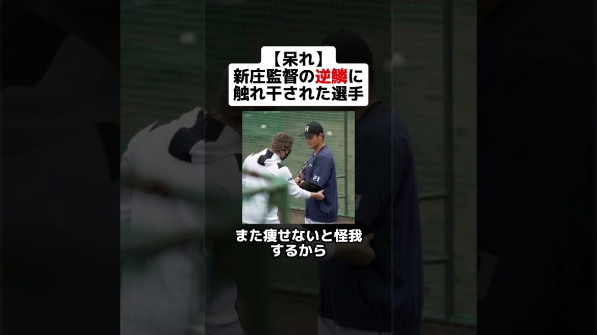 【呆れ顔】新庄監督の逆鱗に触れ干された選手たち #野球ネタ #プロ野球 #新庄剛志 #新庄監督 #日本ハム #清宮幸太郎 #吉田輝星