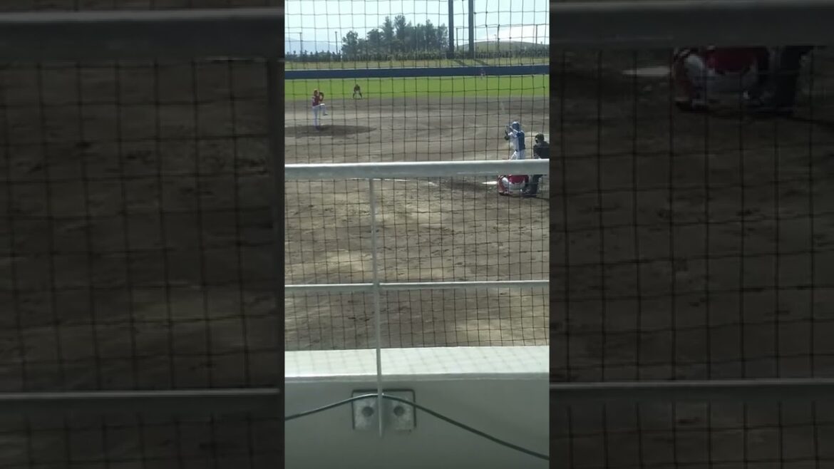 2/27 王柏融選手 スイングシーン ＃shorts