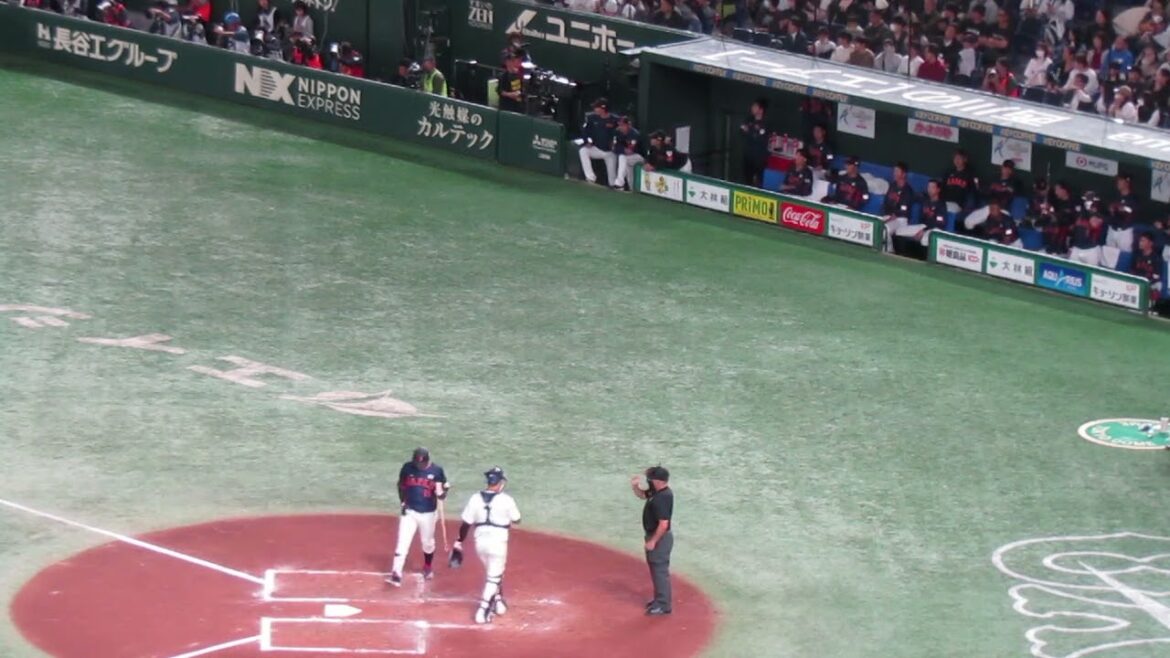 小園海斗のヒットに喜ぶベンチの侍ジャパン選手たち（日本 対 台湾 アジアCS　侍ジャパン 2023年11月16日）