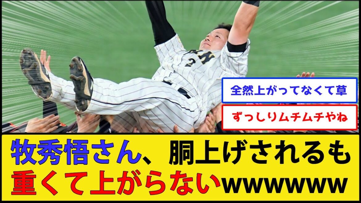 【悲報】牧秀悟さん、胴上げされるも重くて全然上がらないwwwww【侍ジャパン】【横浜DeNAベイスターズ】【なんJ 2ch プロ野球反応集】