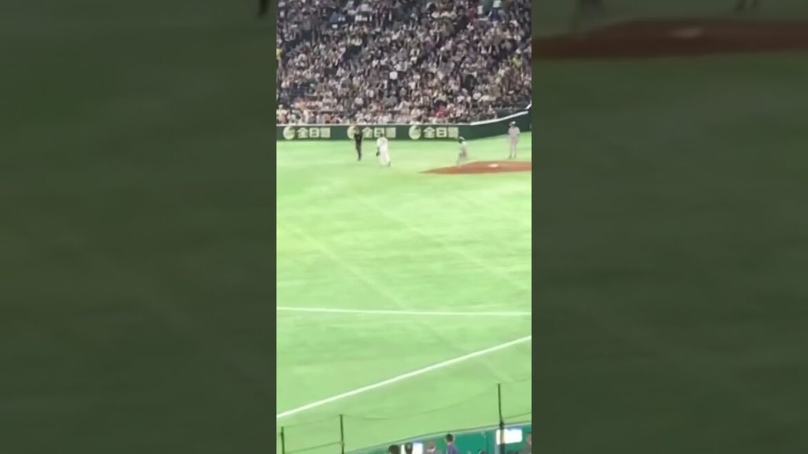 【侍ジャパン対 MLB】ロサリオ二塁打2018/11/9