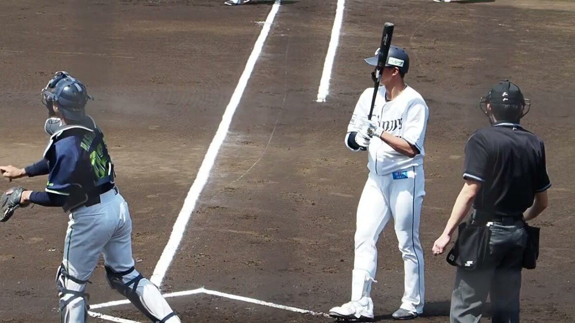 2023.04.23 埼玉西武-東京ヤクルト(カーミニーク) 西川愛也 打席シーン