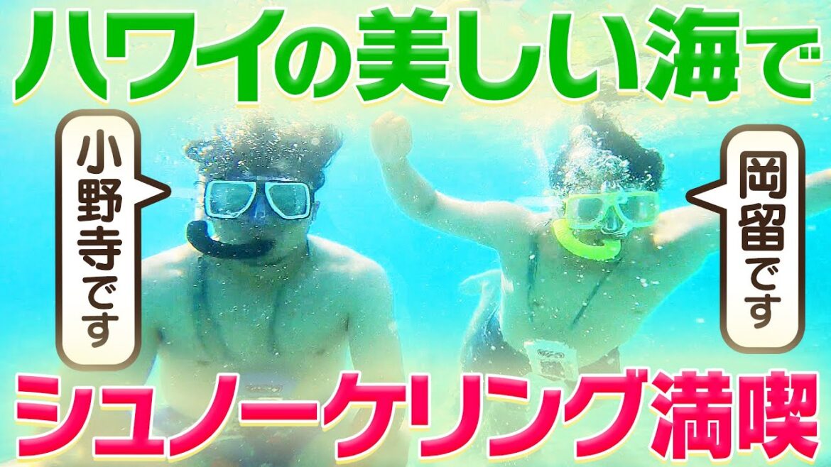 【満喫】小野寺暖＆岡留英貴がハワイでシュノーケリング！阪神タイガース密着！応援番組「虎バン」ABCテレビ公式チャンネル