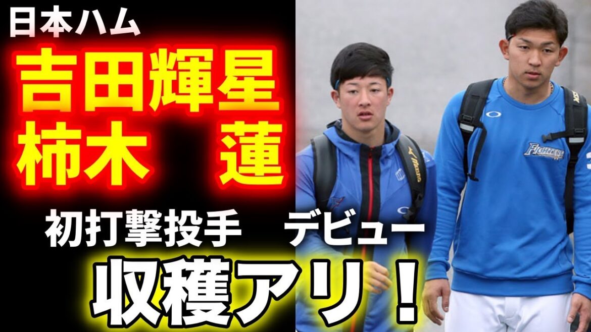 日本ハム吉田輝星・柿木蓮の初打撃投手にコーチが称賛 紅白戦に向け期待高まる 日本ハム吉田輝星・柿木蓮の初打撃投手にコーチが称賛 紅白戦に向け期待高まる