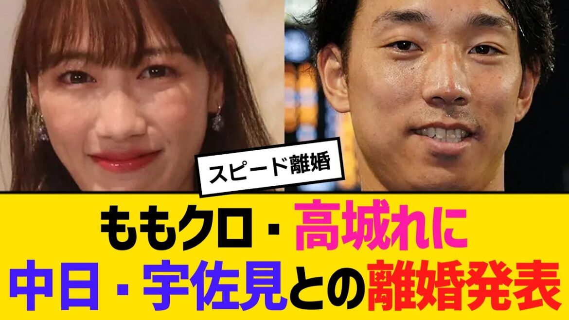ももクロ・高城れに中日・宇佐見との離婚発表　【2ch】【5ch】【反応】
