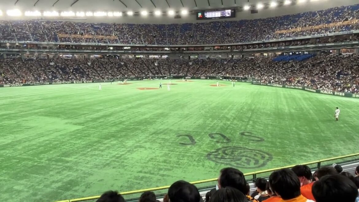 2023 ヤクルト 宮本丈 応援歌