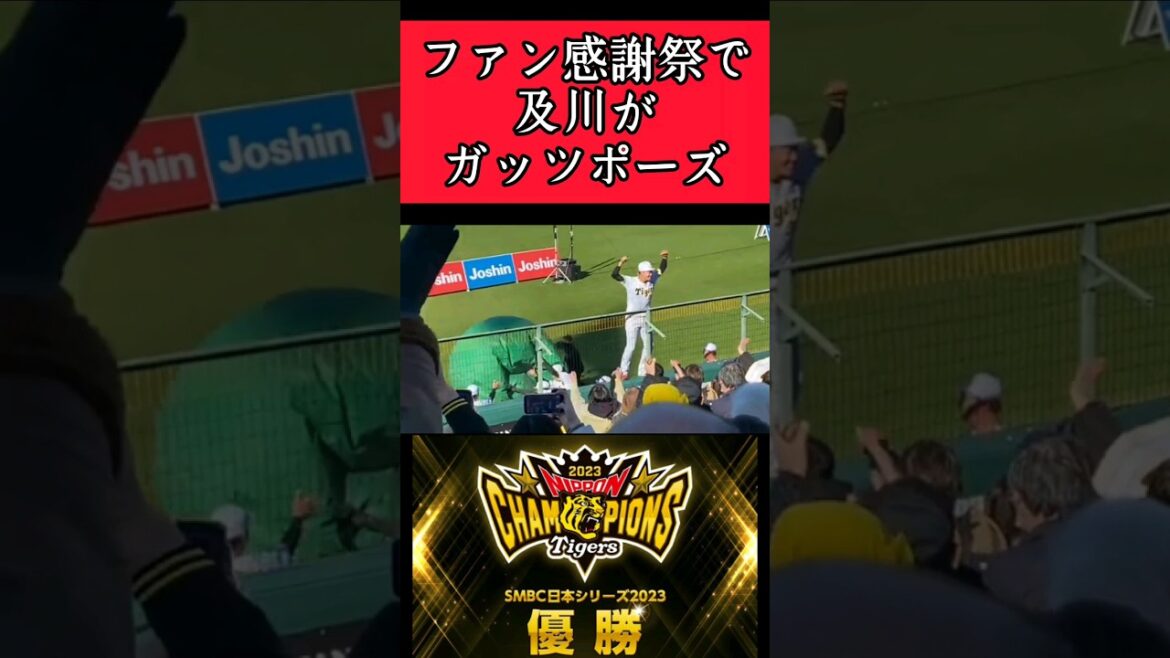 【阪神】ファン感謝祭で及川がガッツポーズ！ #阪神 #阪神タイガース #及川雅貴 #ファン感謝祭 #shorts