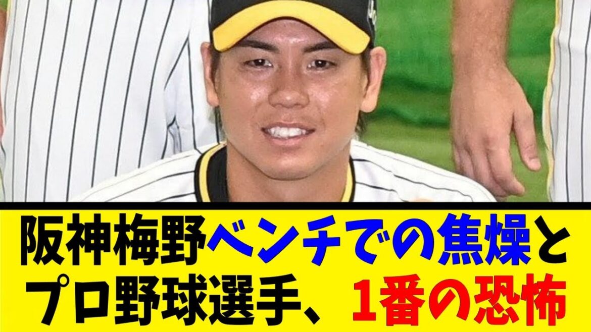阪神梅野、ベンチでの焦燥とプロ野球選手、1番の恐怖【反応集】【野球反応集】【なんJ なんG野球反応】【2ch 5ch】