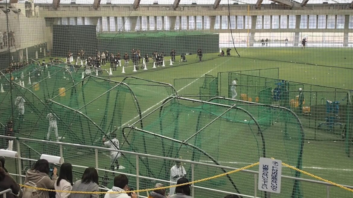 若手野手 フリーバッティング(1/3) 吉川尚輝 若林晃弘 田中俊太 山本泰寛 巨人キャンプ（2020.02.07）