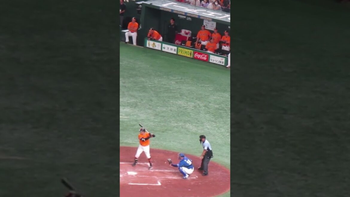 梶谷隆幸の内野ゴロで山崎伊織ホームへ ベンチ喜ぶ（読売ジャイアンツ対 中日ドラゴンズ 2023年7月29日）