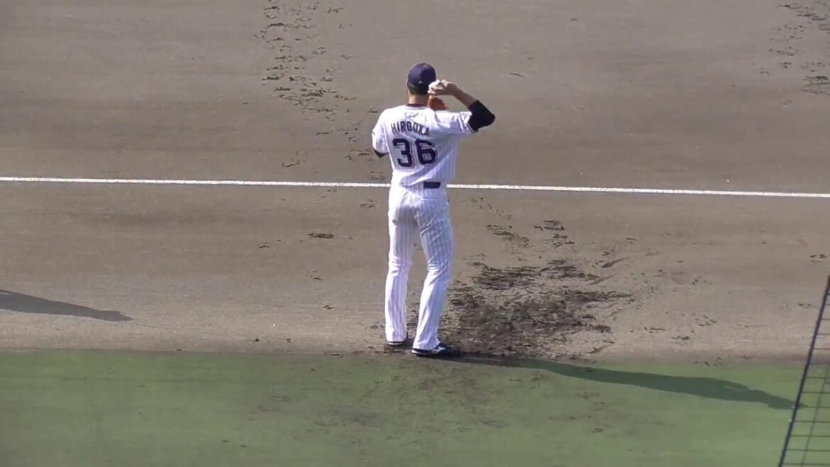 【2017東京ヤクルトスワローズ秋季キャンプ】2017/11/15廣岡 大志#36他キャッチボール