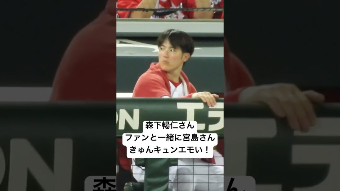 エモいきゅん！#shorts  #森下暢仁 #広島東洋カープ