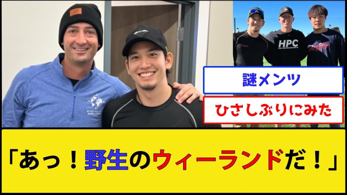 ソフトバンク栗原、野生のウィーランドとマクガフに遭遇する【横浜DeNAベイスターズ】【プロ野球なんJ 2ch プロ野球反応集】 ソフトバンク栗原、野生のウィーランドとマクガフに遭遇する【横浜DeNAベイスターズ】【プロ野球なんJ 2ch プロ野球反応集】