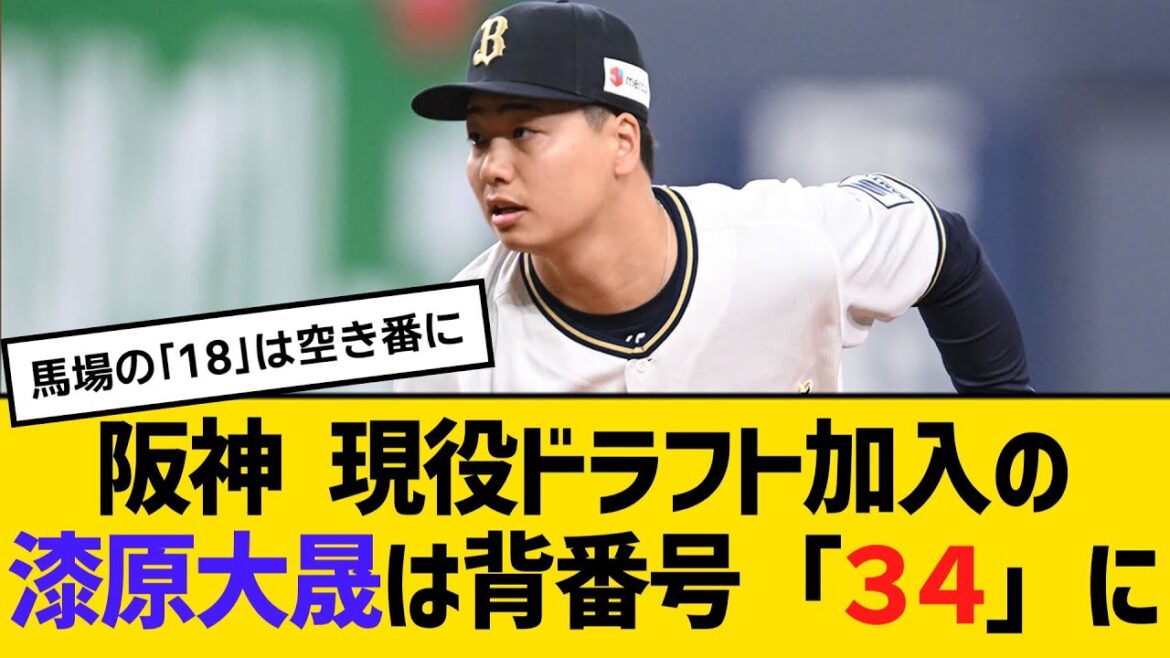 阪神 現役ドラフト加入の漆原大晟は背番号「３４」に　【2ch】【5ch】【反応】