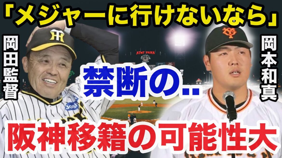巨人がポスティングを認めなければ2025年オフ岡本和真が阪神移籍の可能性大【プロ野球/阪神タイガース】