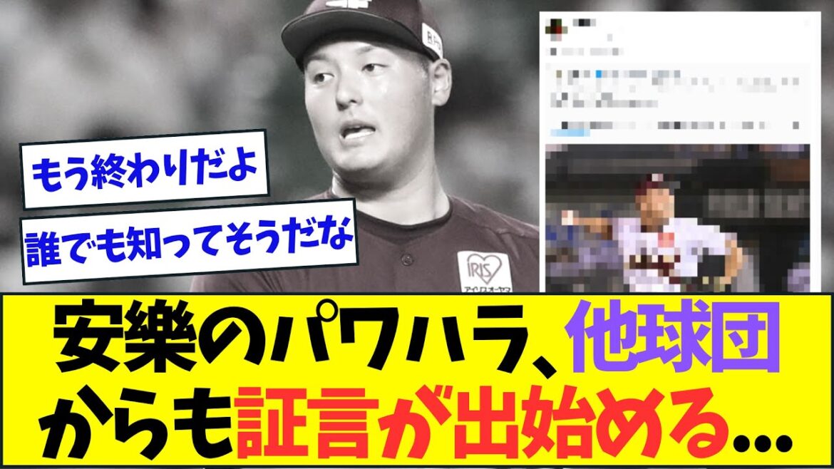 安樂のパワハラ、他球団選手からも証言が出始める...【なんJなんG反応】【2ch5ch】