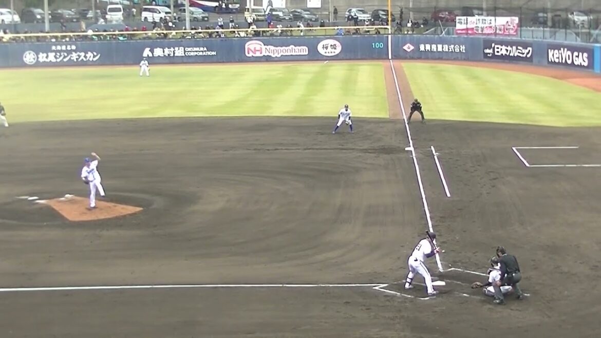 ベイスターズ田中健二朗 オリックス園部佳太をライトフライに抑える【プロ野球12球団合同トライアウト2023年11月15日】