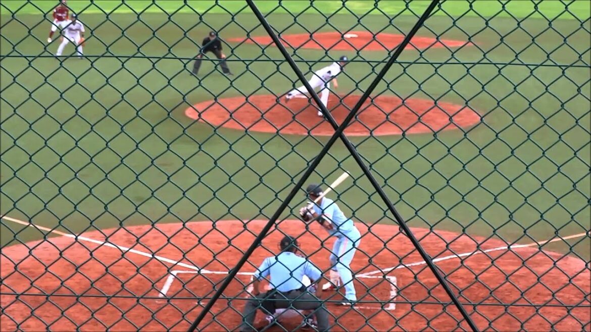 2014/07/05巨人立岡宗一郎、３安打３打点１盗塁の大活躍！