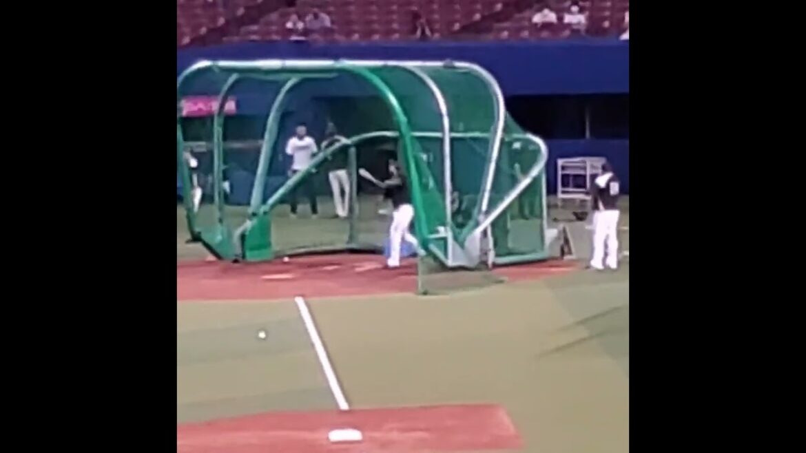 グラシアル 打撃練習　#shorts