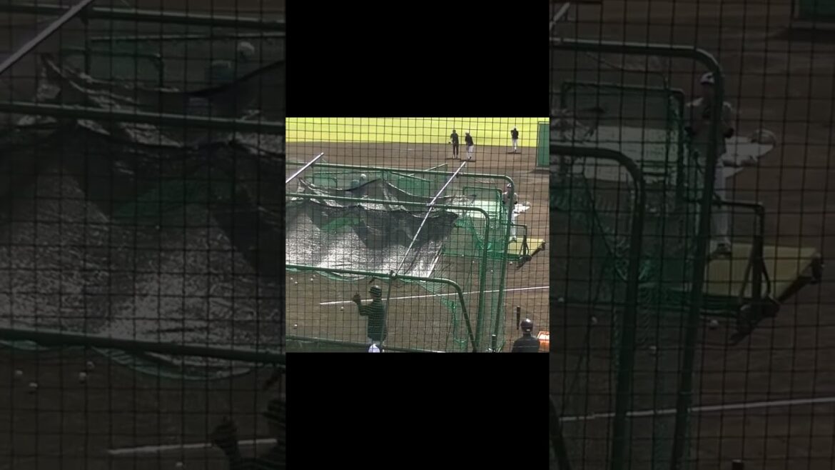 【巨人 秋季練習】丸佳浩フリーバッティング ウィーラーと何か話す　2023年10月14日ジャイアンツ球場