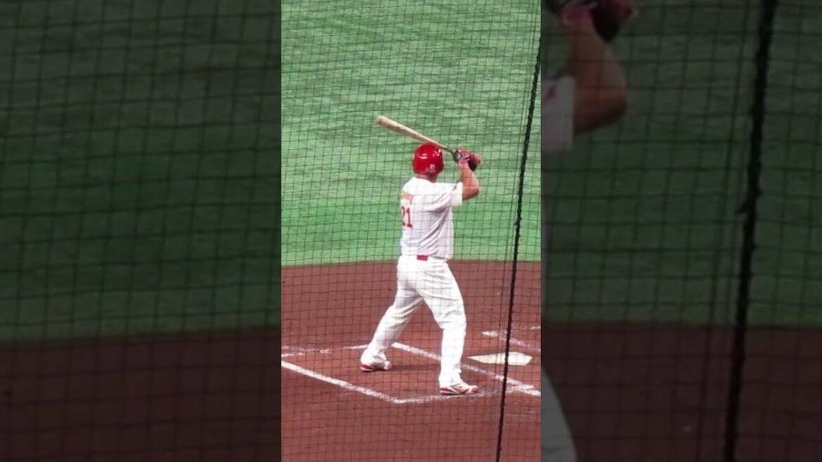 中国レイ・チャンの打撃フォーム 〜WBC2023/3/13中国 対 韓国