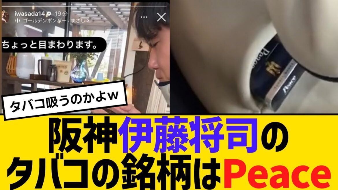 阪神・伊藤将司のタバコの銘柄はPeace　【2ch】【5ch】【反応】