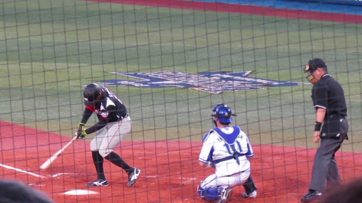 ロエル・サントス ／バット直撃｡｡｡＿|￣|○まさかの相打ち｡｡｡＿|￣|○／2017.6.15　横浜DeNAベイスターズ×千葉ロッテマリーンズ　横浜スタジアム