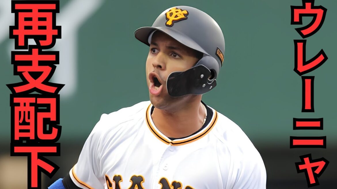 阿部監督が期待しているウレーニャとは？来季レフトのレギュラーの可能性は？