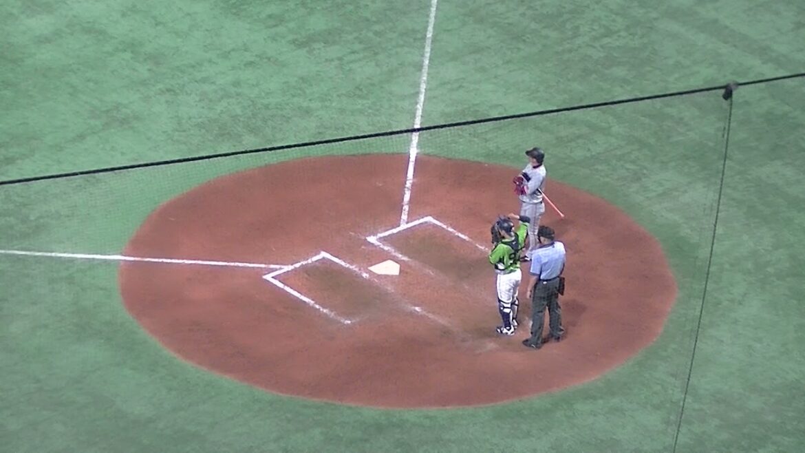 亀井善行を三振にとる今野龍太 【読売ジャイアンツ対ヤクルト スワローズ2021.7.13】