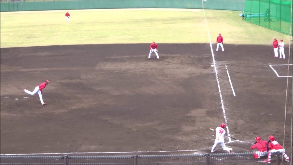 アドゥワ誠 vs 石原貴規（2打席） ～広島東洋カープ秋季キャンプ2023 紅白戦～