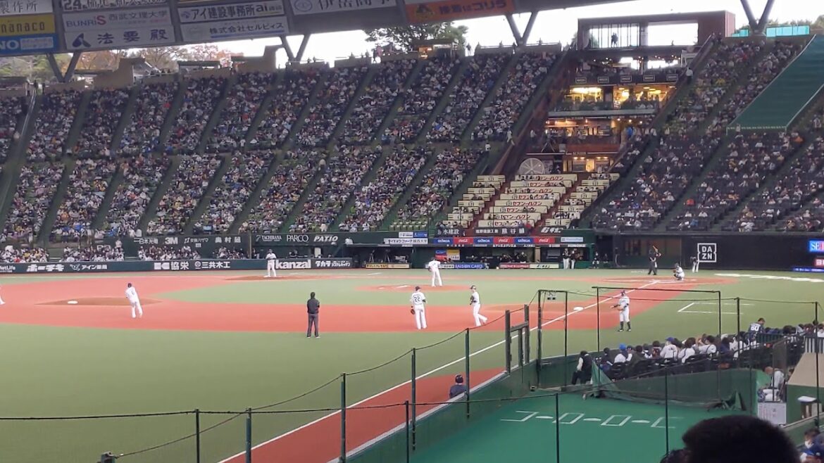 埼玉西武ライオンズ   増田達至    "ライオン"   ベリーグッドマン