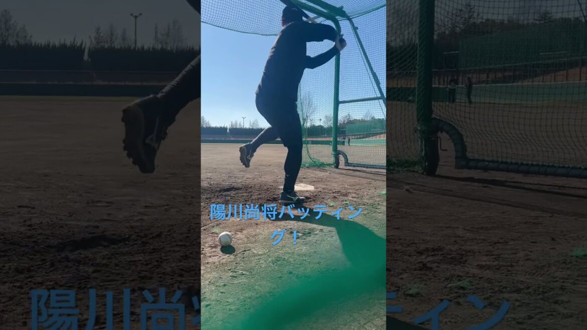 陽川尚将バッティング！　　#陽川尚将 #西武 #応援歌